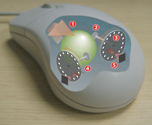 Mouse-mechanism-cutaway