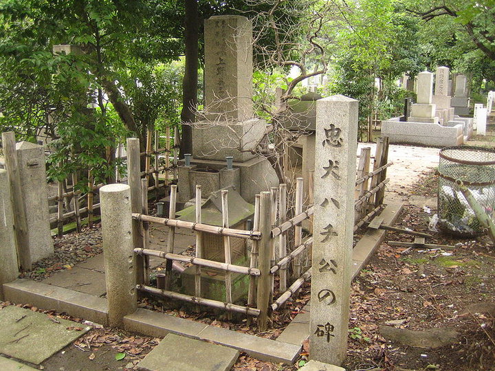 Hachiko's_grave_in_the_Aoyama_cemetery,_Minatoku,_Tokyo,_Japan